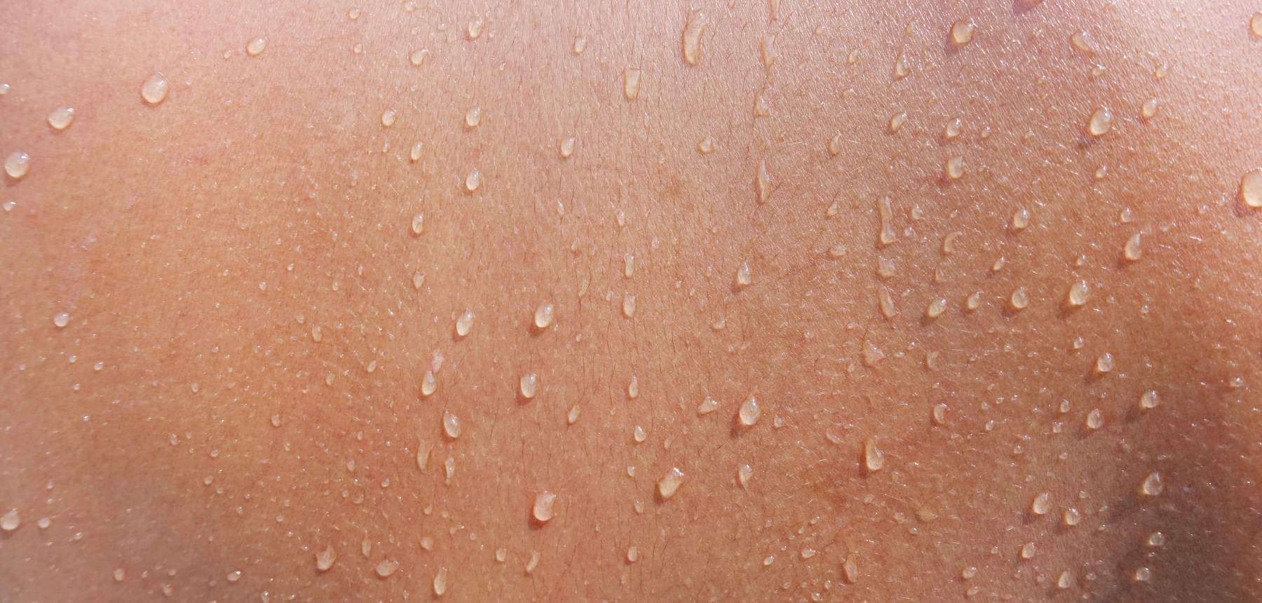 Bárbara Pereira Dermatologista